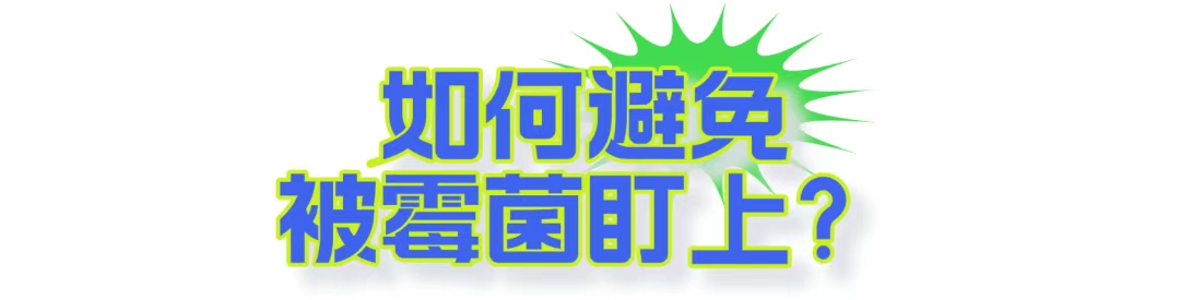 车里有股酸臭味?很大可能是…-图片2