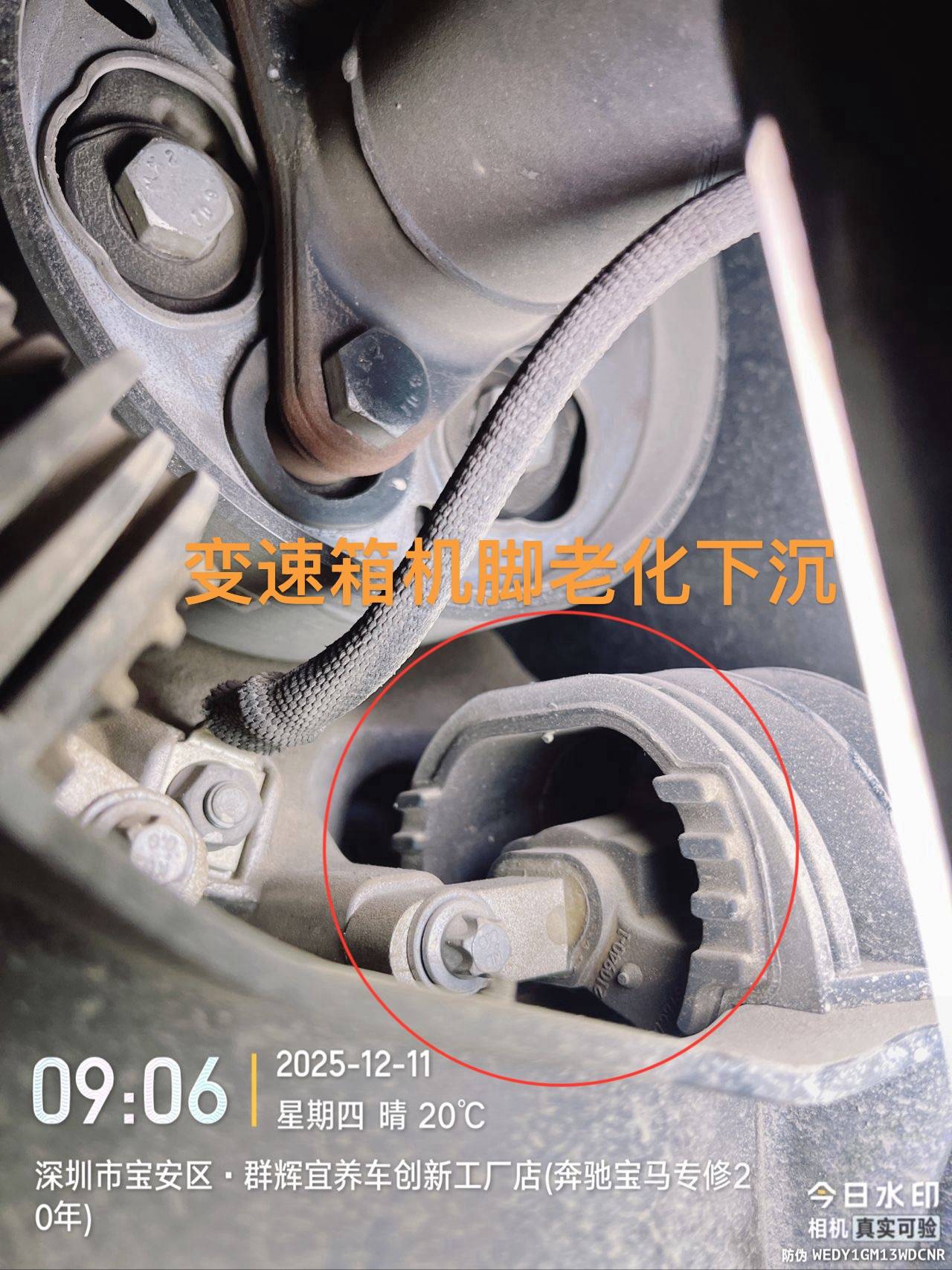 宝马525维修与保养记录:发动机抖动故障排查及全面维护