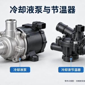 冷却液泵与节温器零件示意图(非维修实拍)