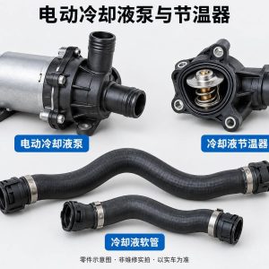 电动冷却液泵与节温器零件示意图（非维修实拍）