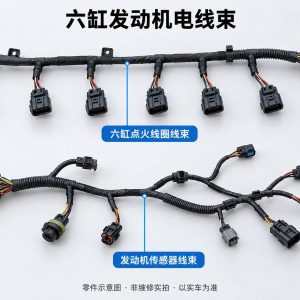 六缸发动机电线束零件示意图(非维修实拍)
