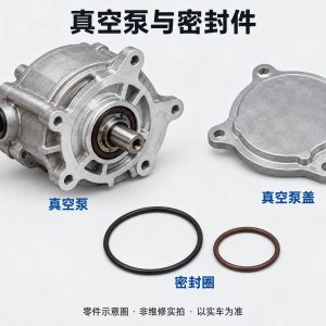 真空泵与密封件零件示意图(非维修实拍)