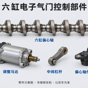 六缸电子气门控制部件零件示意图（非维修实拍）