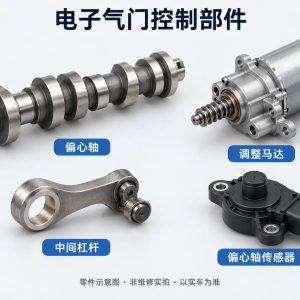 电子气门控制部件零件示意图（非维修实拍）